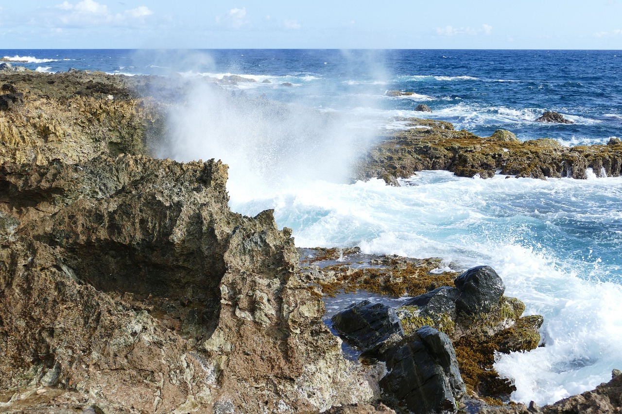 Aruba entdecken