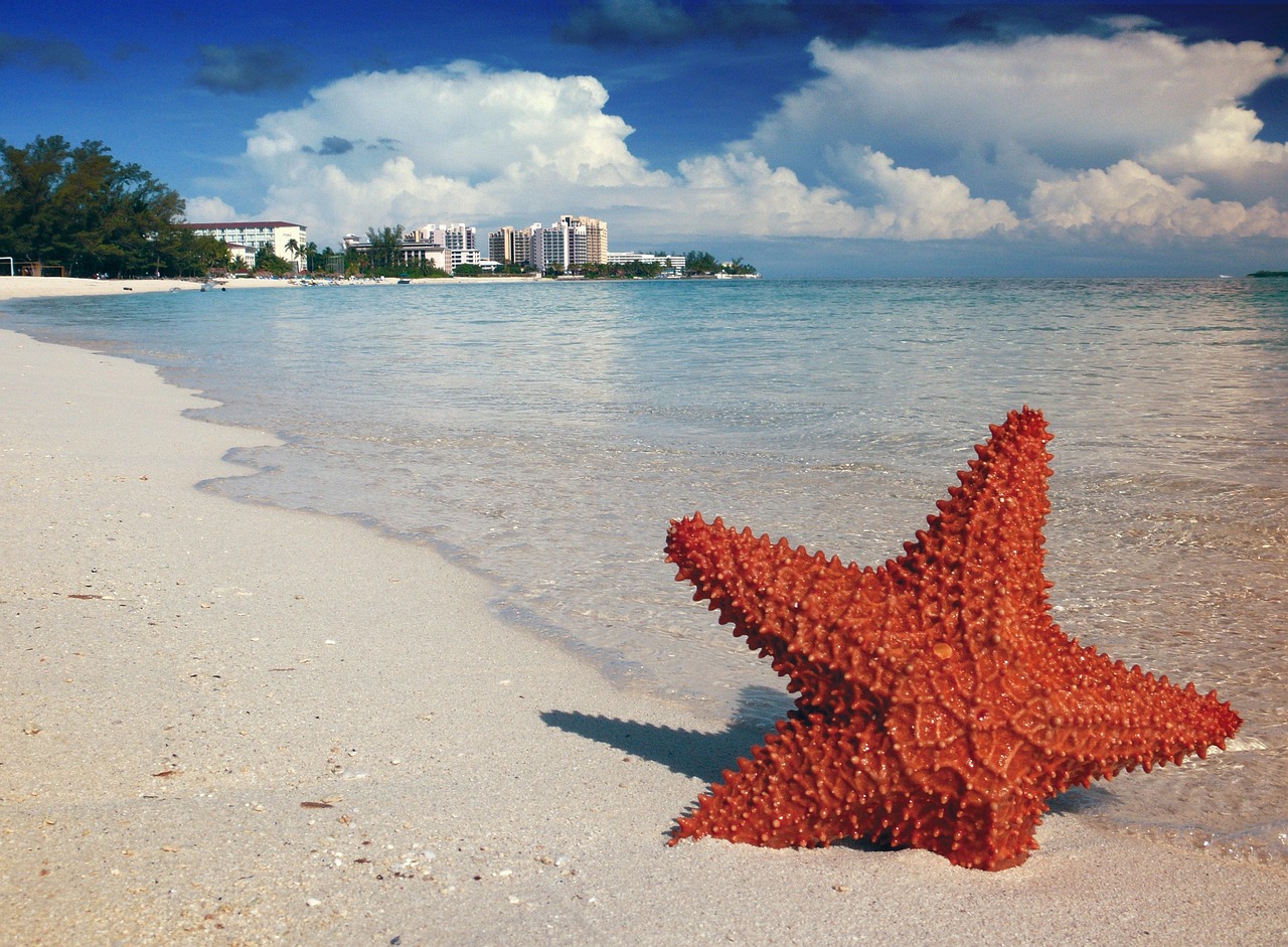 Bahamas entdecken