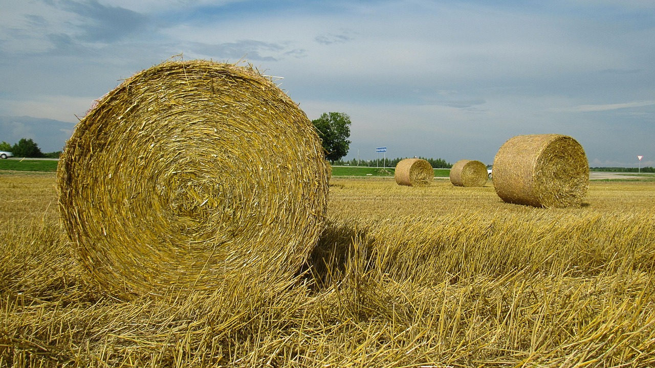 Belarus entdecken