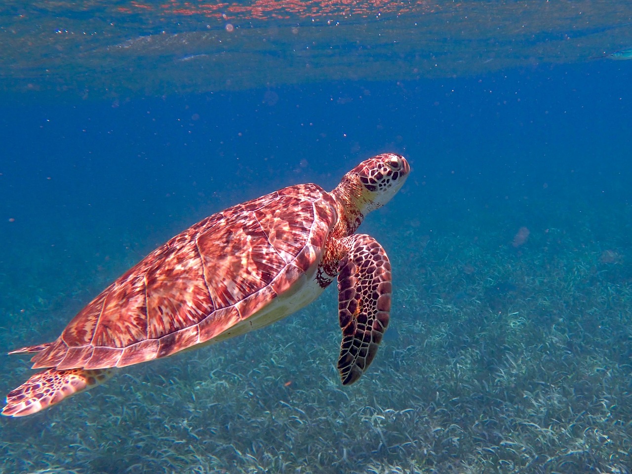 Belize entdecken