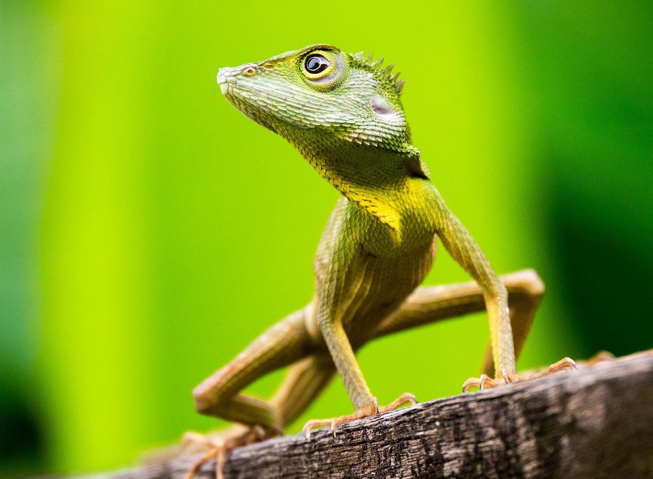 Brunei entdecken