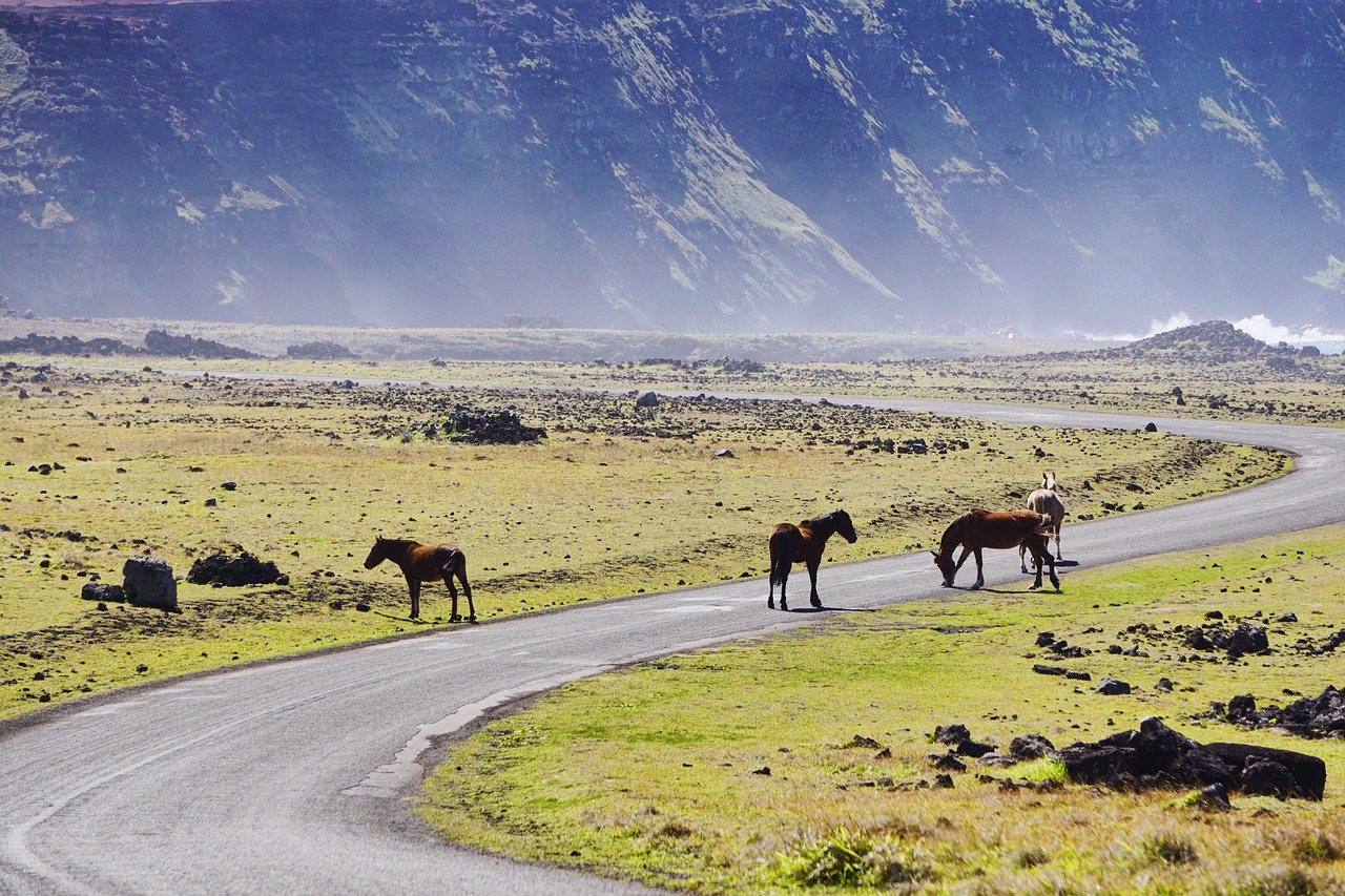Chile