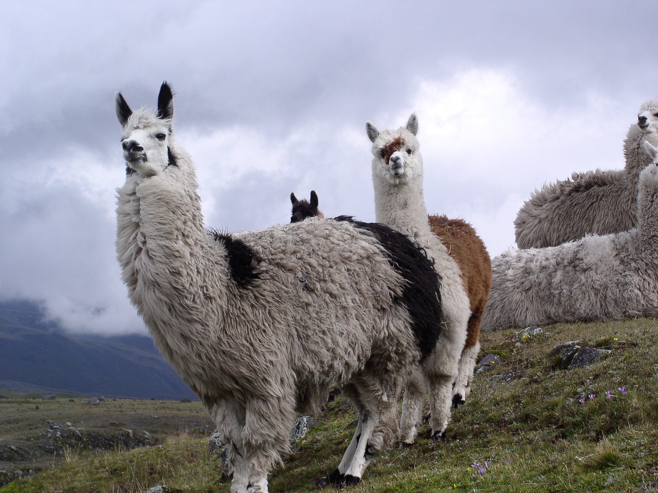 Ecuador entdecken