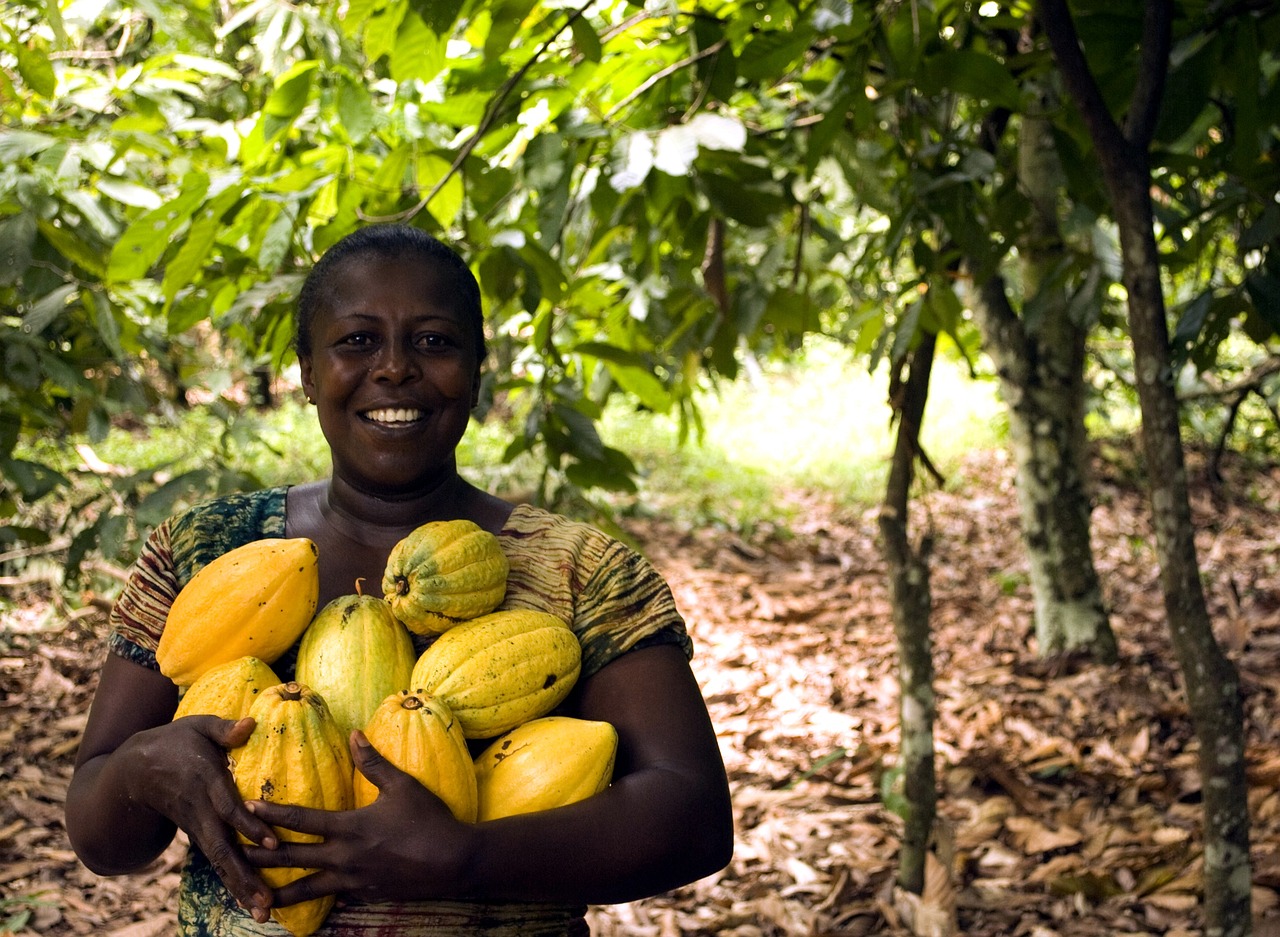 Ghana entdecken