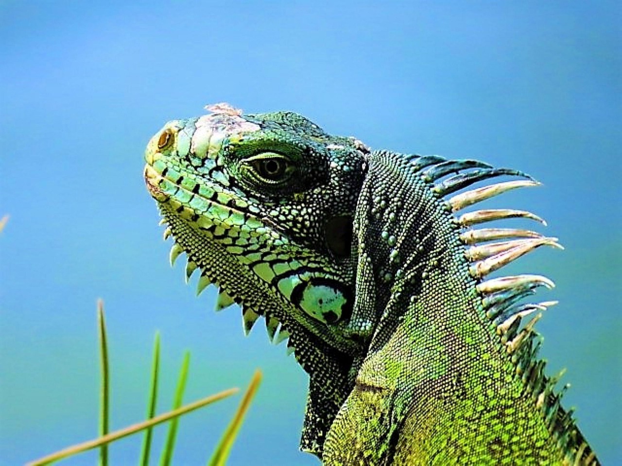 Guadeloupe entdecken