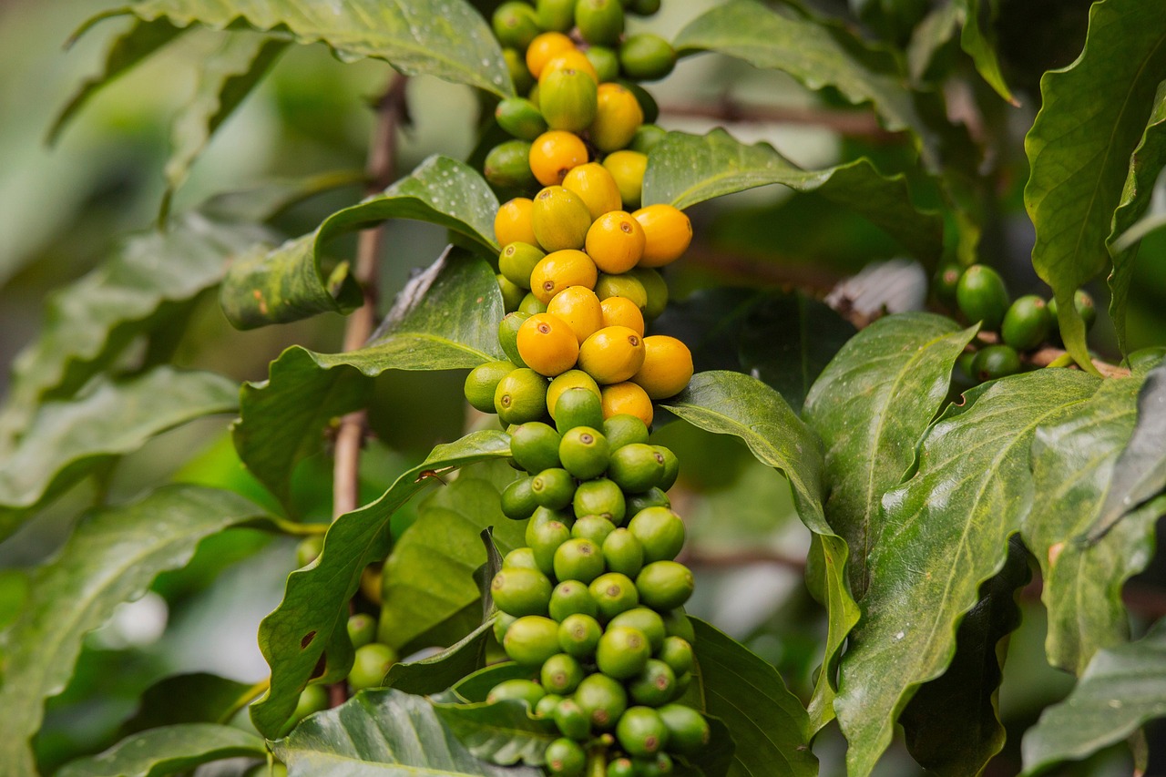 Guatemala entdecken