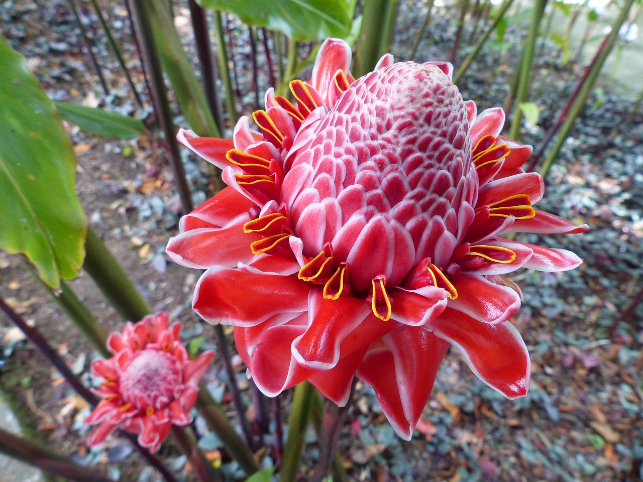Martinique entdecken