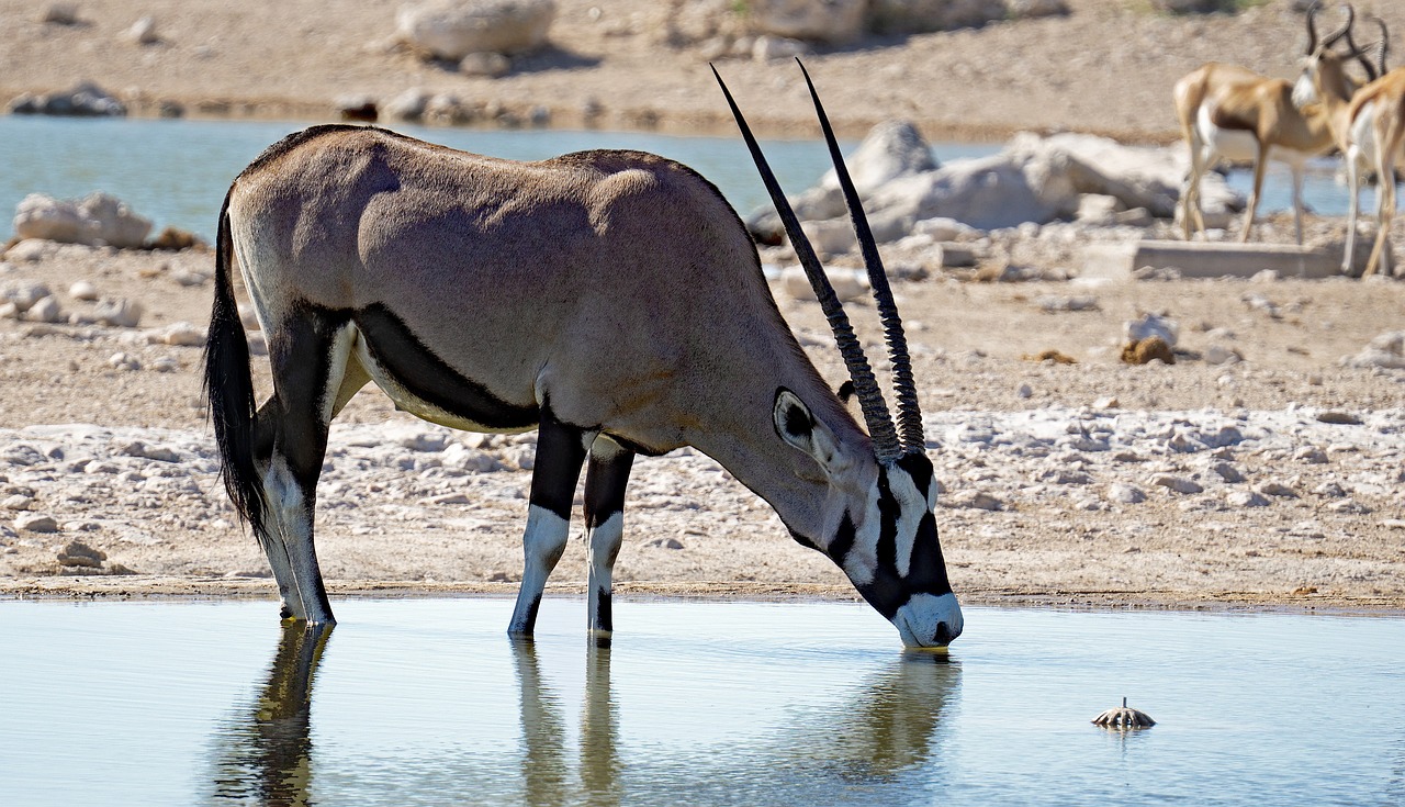 Namibia entdecken