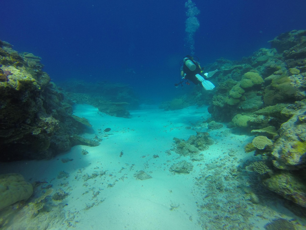 Palau entdecken