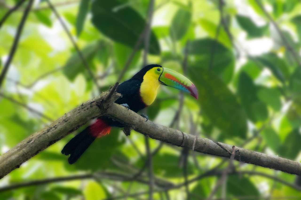 Panama entdecken