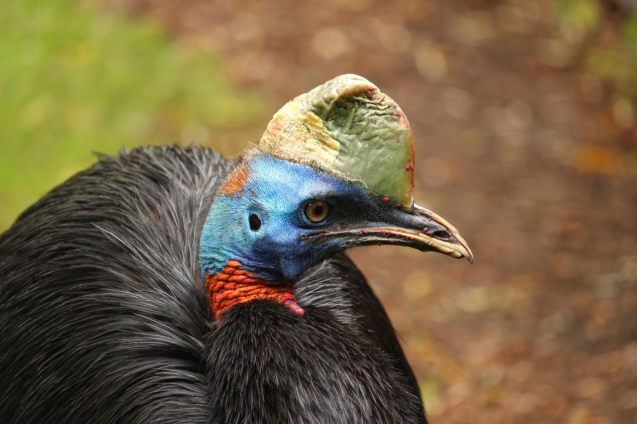 Papua Neuguinea entdecken