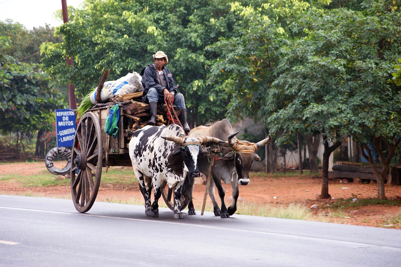 Paraguay entdecken