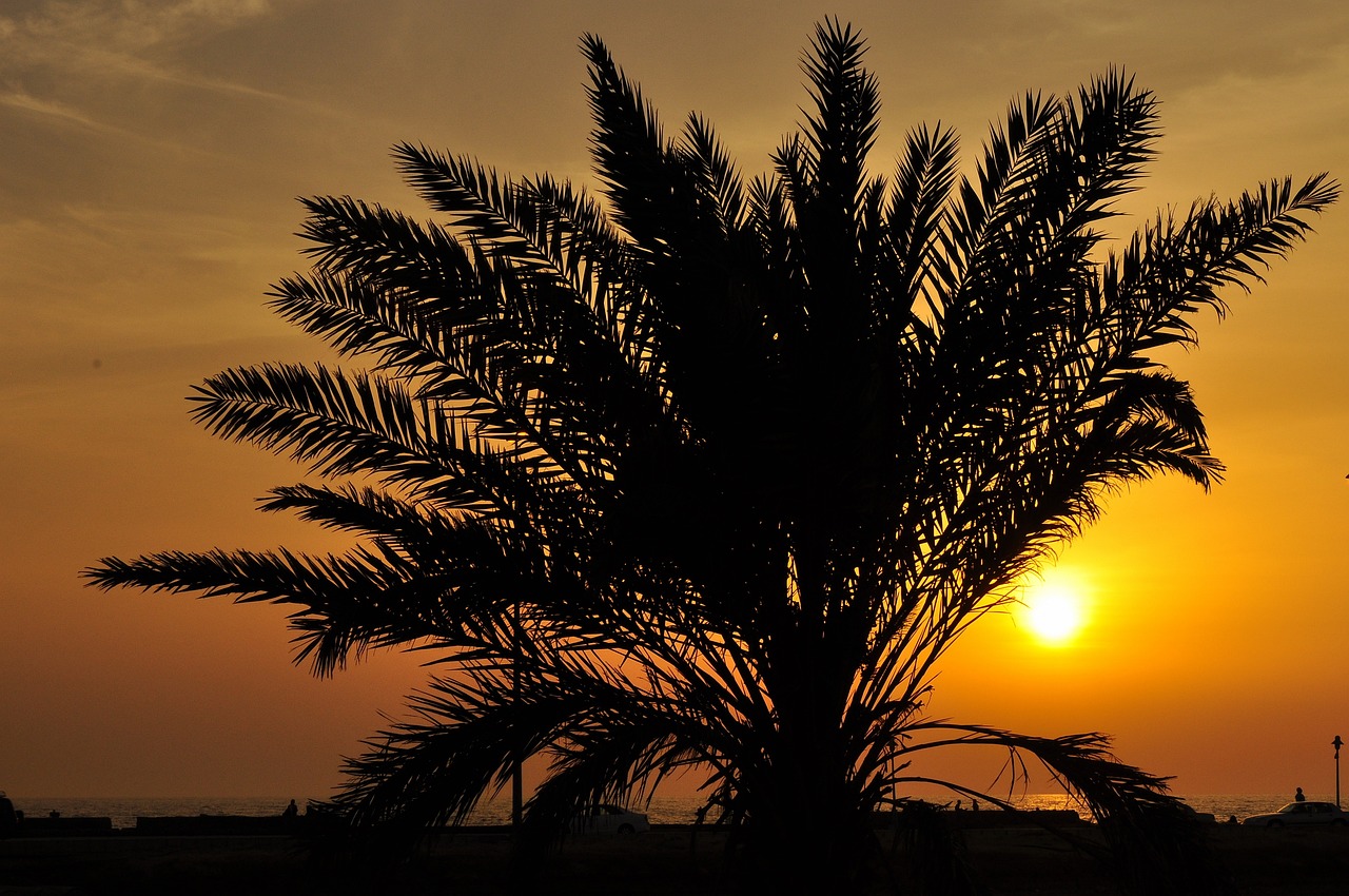 Saudi Arabien entdecken