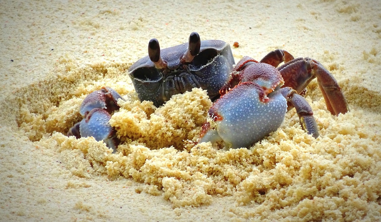 Seychellen entdecken