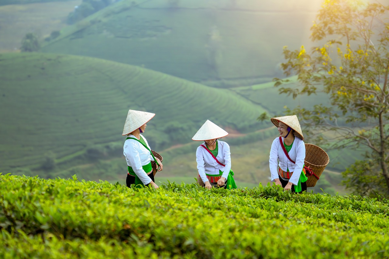 Vietnam entdecken