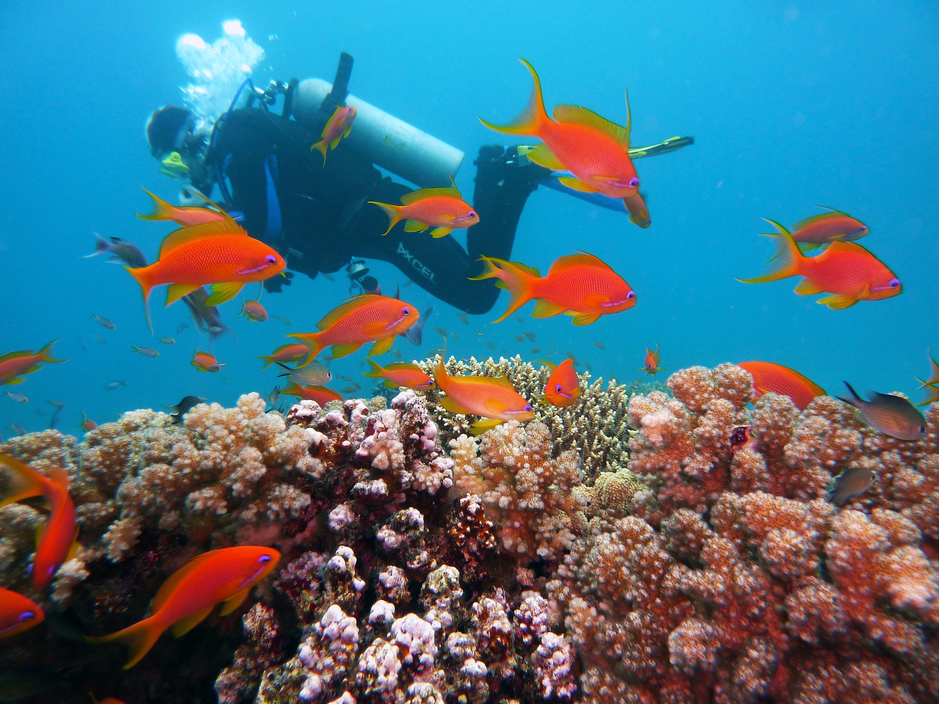 Vanuatu entdecken